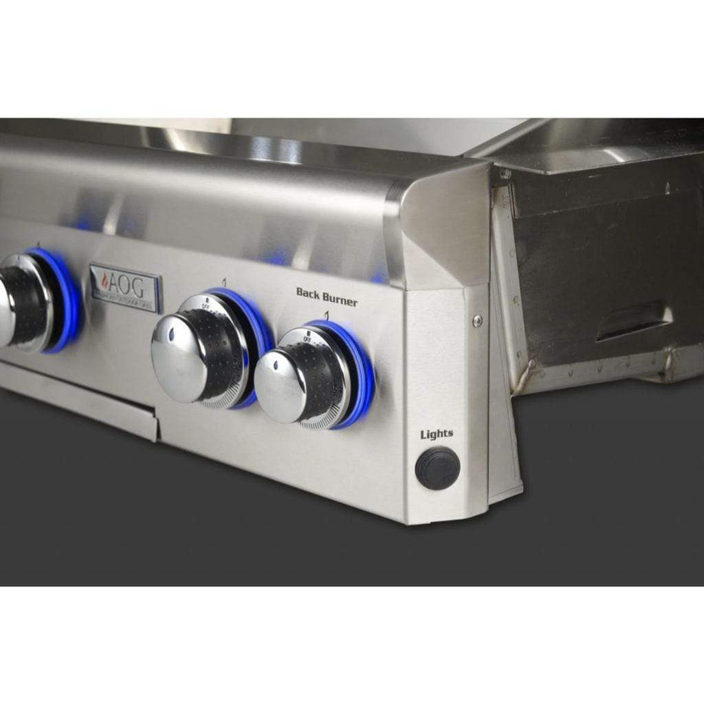American Outdoor Grill 24-Inch L-Series Portable 2-Burner Propane Gas Grill with Stainless Steel Construction
