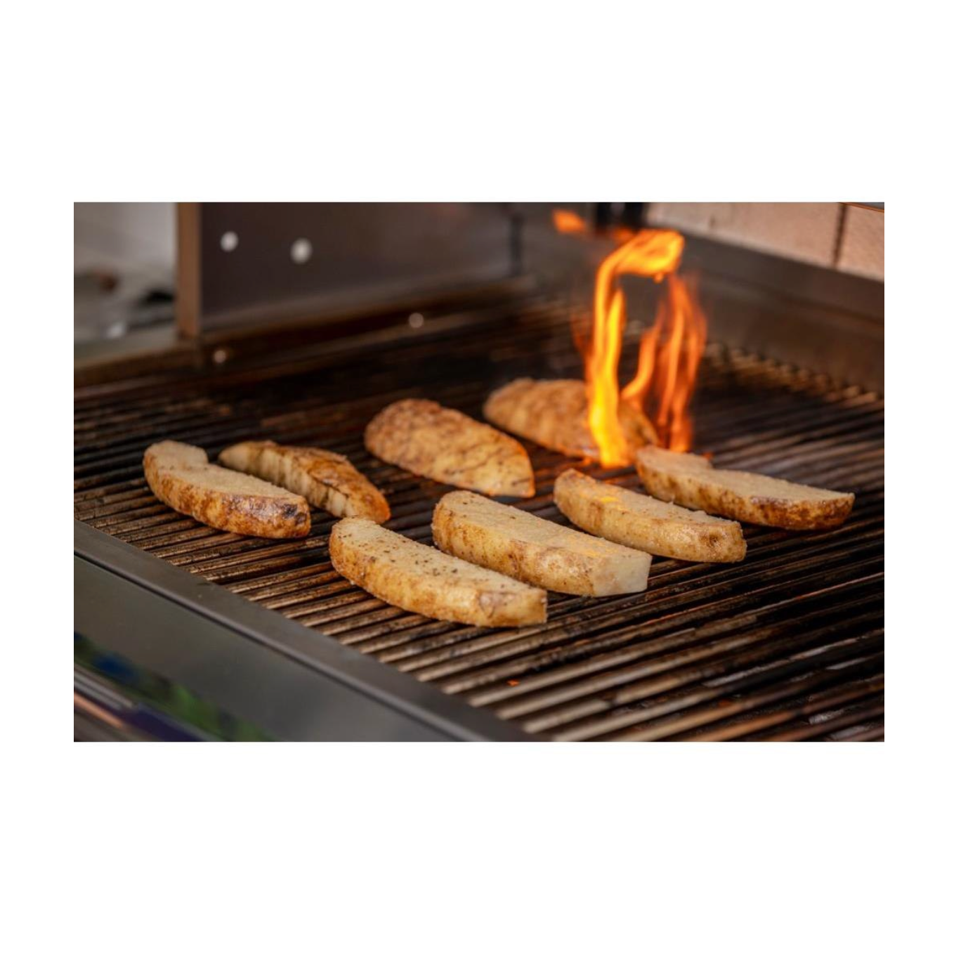 PGS Legacy 30-Inch Newport Gourmet Natural Gas Grill Head