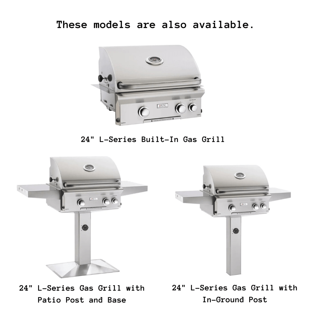 American Outdoor Grill 24-Inch L-Series Portable 2-Burner Propane Gas Grill with Stainless Steel Construction