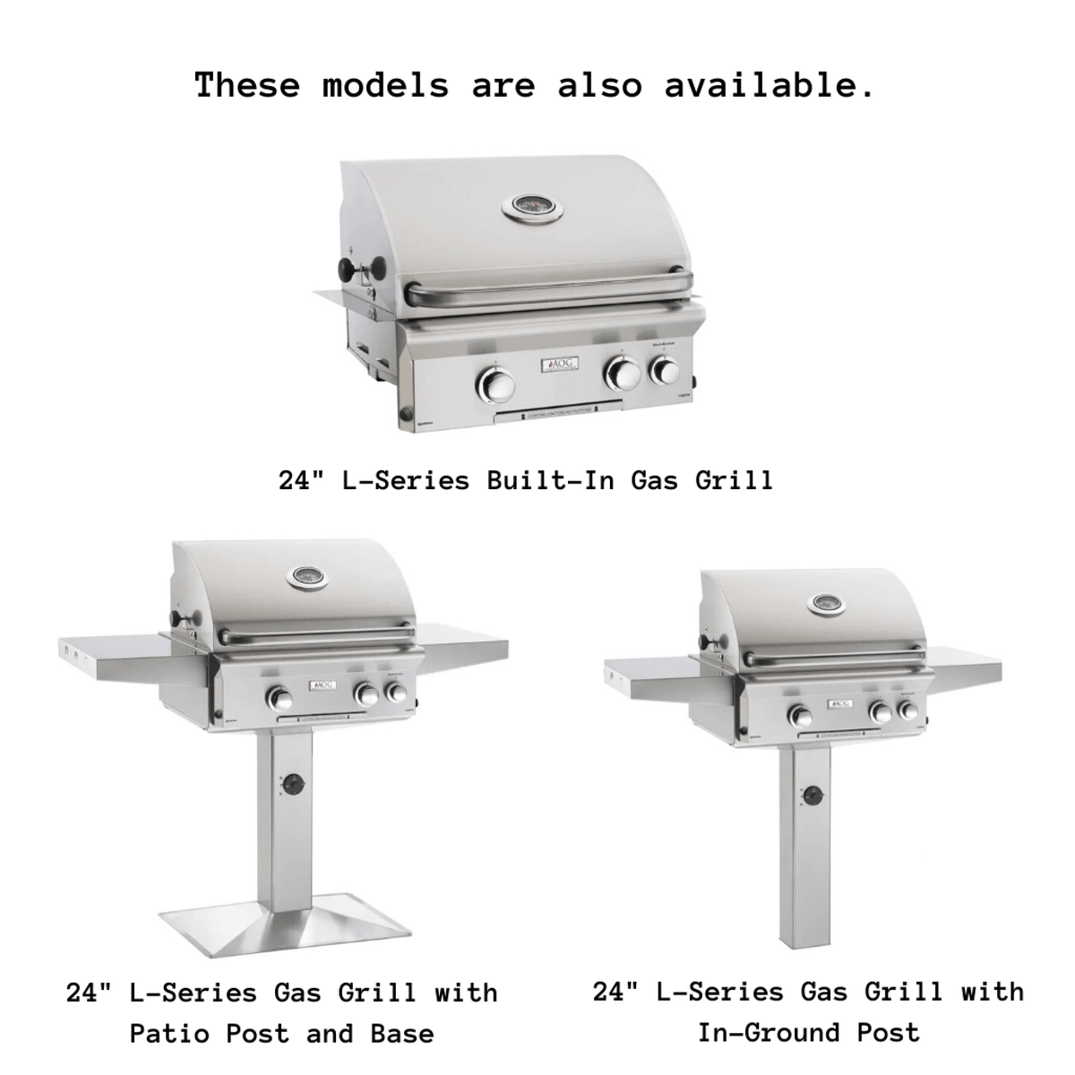 American Outdoor Grill 24-Inch L-Series Portable 2-Burner Propane Gas Grill with Stainless Steel Construction